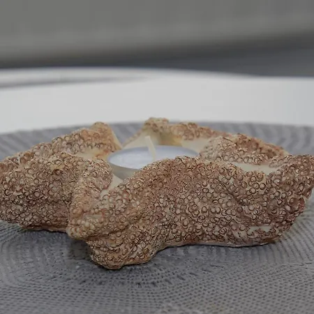 Haus Alina Seestern *